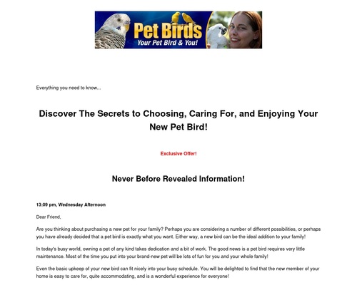 Pet Birds – Your Pet Bird And You!